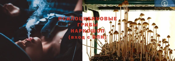 сатива Костерёво