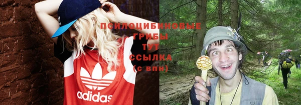 сатива Костерёво