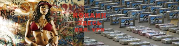 jwh Корсаков